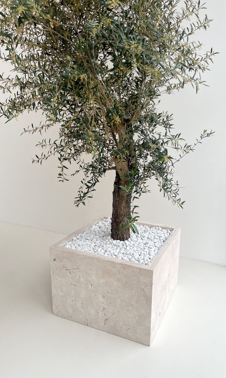 Travertine Planter Flora